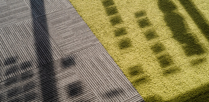 Light Shadow 002